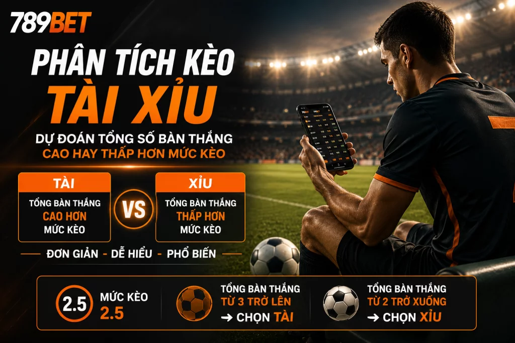 Người chơi theo dõi và phân tích kèo tài xỉu trên thiết bị di động